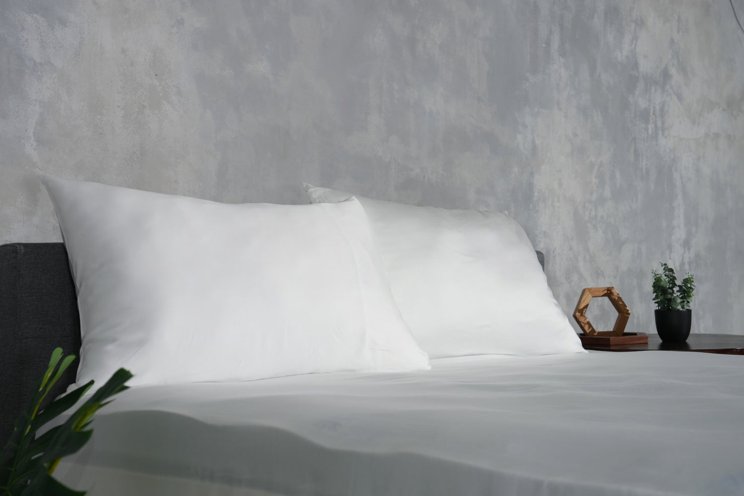 Austrian Snow Tencel Bed Sheet Set