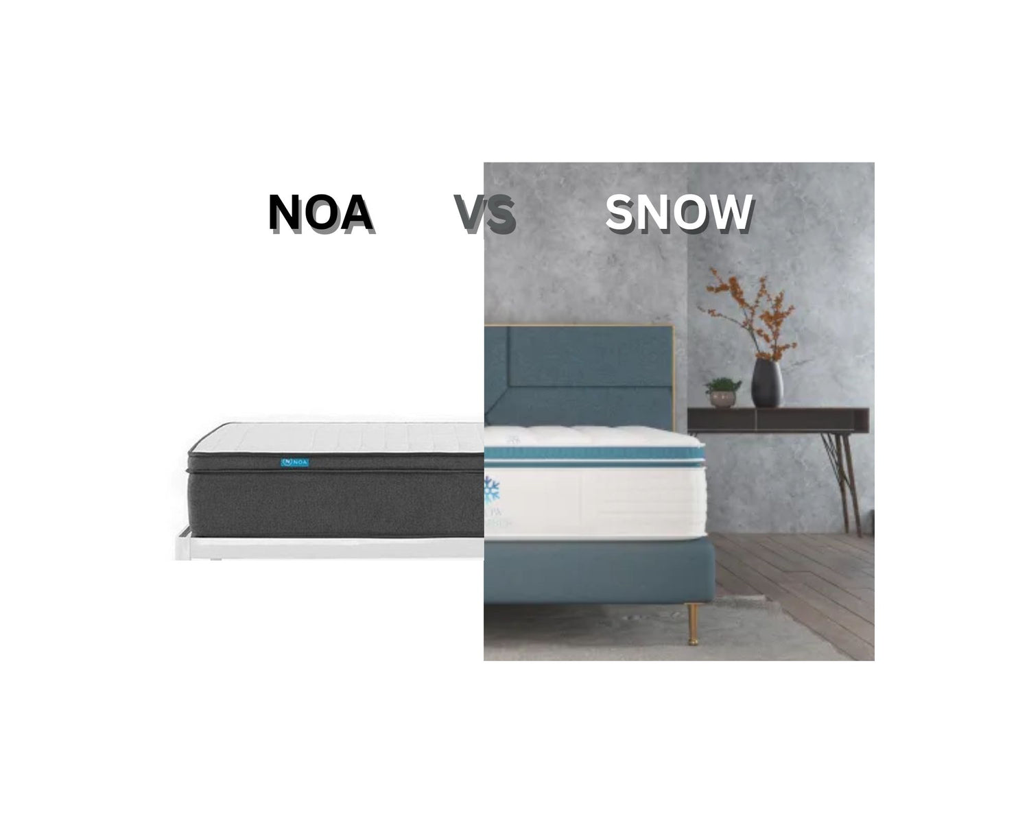 Noa vs. Snow Slumber