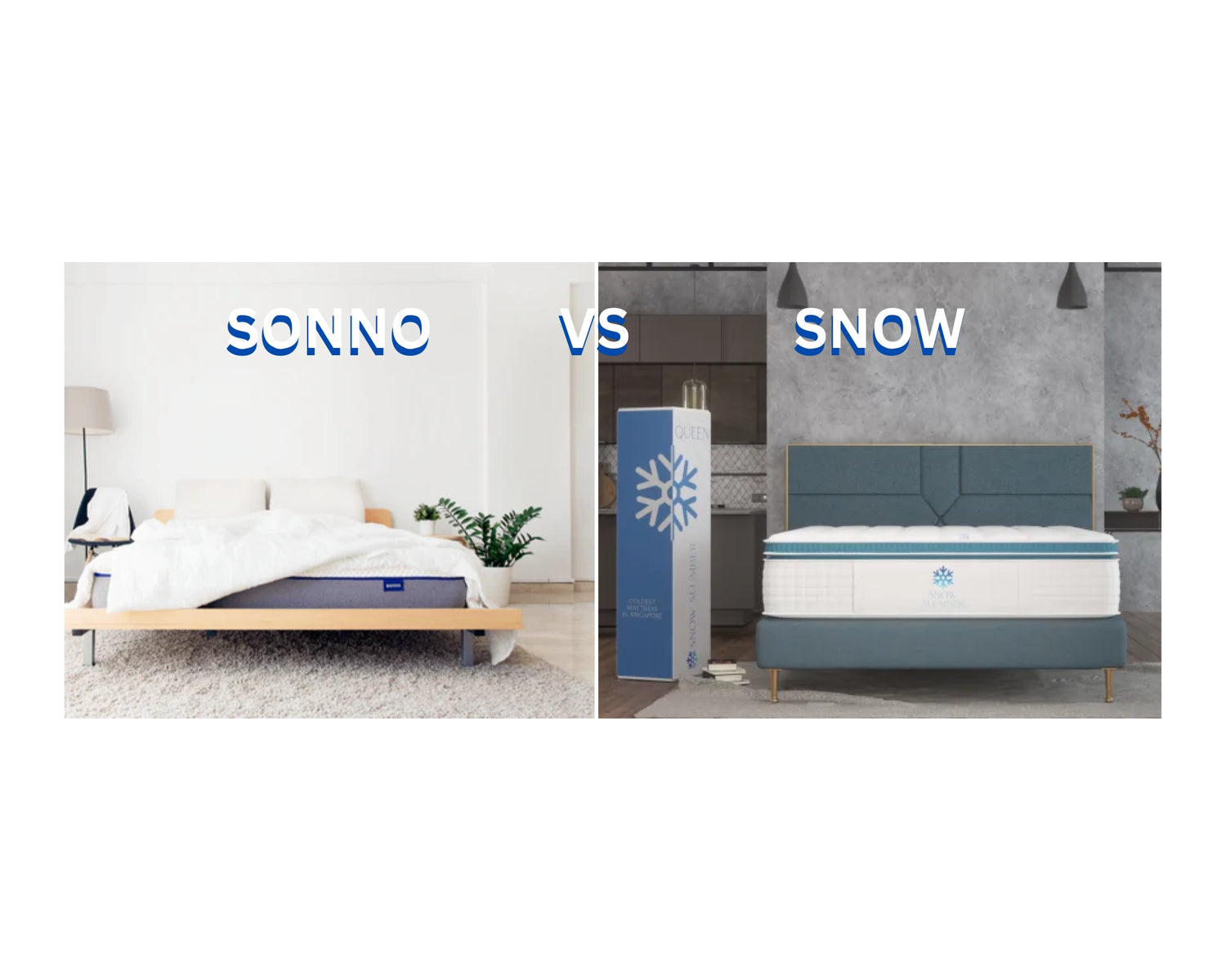 Sonno Vs Snow Slumber