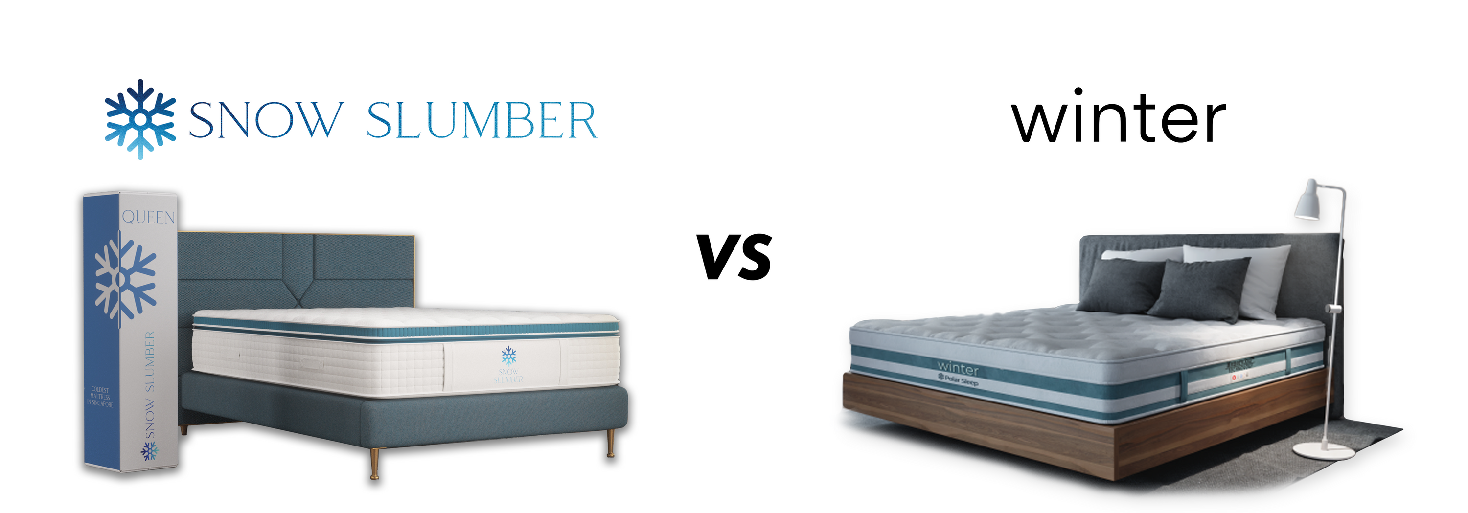 Snow Slumber VS Winter Sleeps