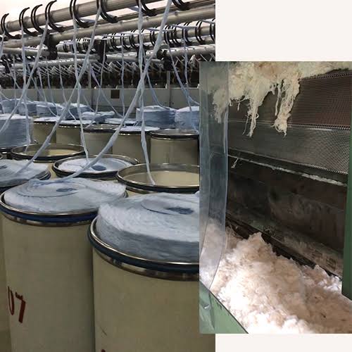 Viscose Produce